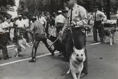 Charles Moore, Dogs used by Birmingham, Ala. Cops to quell Negro Race Riots, 1963, Gelatin silver print