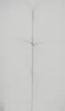 Harry Callahan, Untitled, Eleanor
