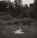 Eleanor, Port Huron by Harry Callahan, 1954, Gelatin silver print, printed later, sold Apr 2019