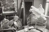 Henri Cartier-Bresson, Henri Matisse, Vence, France
