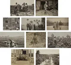 Selected Images (rural child labor) by Lewis Hine, 1910-1933, Ten gelatin silver prints, offered Apr 2019