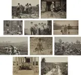 Lewis Hine, Selected Images (rural child labor)
