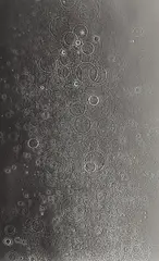 Adam Fuss, Untitled, 2008, Unique gelatin silver print, mounted