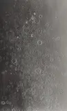 Untitled by Adam Fuss, 2008, Unique gelatin silver print, mounted, offered Apr 2019