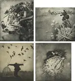 Robert ParkeHarrison, Selected Images