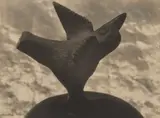 Tina Modotti, Untitled (bird sculpture), 1926, Gelatin silver print