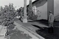 Santa Barbara by Henry Wessel, Jr., 1977, Gelatin silver print from New California Views , printed 1979, sold Oct 2019