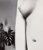 Bill Brandt, Campden Hill, London (nude with plant)