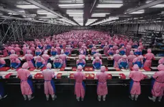 Edward Burtynsky, Manufacturing #17, Deda Chicken Processing Plant, Dehui City, Jilin Province, China, 2005, Fujicolor Crystal Archive print