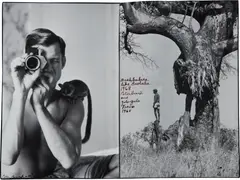 Bushbabies like Baobabs, Tsavo by Peter Beard, 1968, Two gelatin silver prints with applied ink, executed later, sold Oct 2019