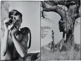 Peter Beard, Bushbabies like Baobabs, Tsavo, 1968, Two gelatin silver prints with applied ink, executed later