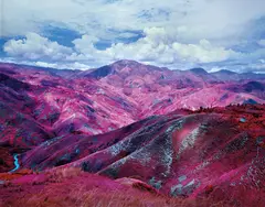 Remain in Light by Richard Mosse, 2015, Chromogenic print, sold Oct 2019