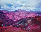 Richard Mosse, Remain in Light, 2015, Chromogenic print