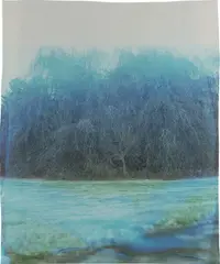 John Chiara, Wolcott at Craig House, 2015, Unique dye destruction print