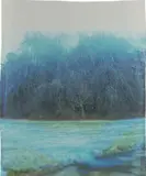 John Chiara, Wolcott at Craig House, 2015, Unique dye destruction print