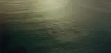 Richard Misrach, Untitled #802-02