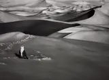 Sahara, South of Djanet, Algeria by Sebastião Salgado, 2009, Gelatin silver print, offered Oct 2019