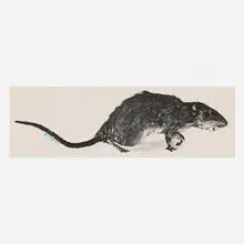 Christy Rupp, (...rat), 1983, offset lithograph on paper