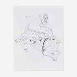 Kelsey Brookes, Bronco Bunny, 2006, ink on paper