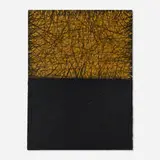 David Shapiro, KALA (26)