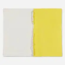 Rodrigo Andrade, Untitled, 2015, oil on canvas and cardboard