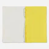 Rodrigo Andrade, Untitled, 2015, oil on canvas and cardboard