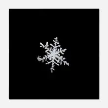 Doug and Mike Starn, Sno3_018 (from the alleverythingthatisyou series), 2000-06, digital C-print on Fujiflex and Enduclear mounted to Plexiglas and aluminum