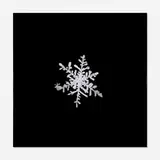 Doug and Mike Starn, Sno3_018 (from the alleverythingthatisyou series), 2000-06, digital C-print on Fujiflex and Enduclear mounted to Plexiglas and aluminum