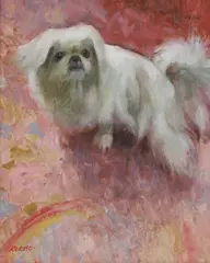 Edith Keene, Untitled, A Shih Tzu oil on canvas 61 x 51cm