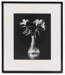 Robert Mapplethorpe, Untitled, 1984 gelatin silver print