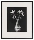 Untitled by Robert Mapplethorpe, 1984 gelatin silver print, sold Jan 2024