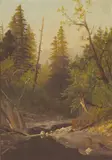 Frederick Ferdinand Schafer, Near Felton, Santa Cruz Mountains, California