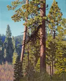 Richard Thompson Taggart, Old Pine at Tahoe, 1936, oil on canvas