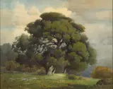 Percy Gray, Oaks under a cloudy sky
