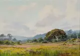 Albert Thomas Derome, Ripple and Egan Avenues, Pacific Grove, buttercups, mallow, 1940, oil on canvas board
