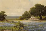Robert Wood, Blue bonnet time