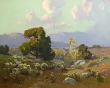 Elmer Wachtel, Wild buckwheat