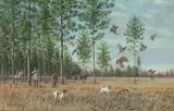 Owen J. Gromme, Hunting partridge, 1958, oil on canvas