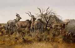 Gary R. Swanson, Kudus in the brush, 1980, oil on board