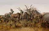 Gary R. Swanson, Kudus in the brush, 1980, oil on board