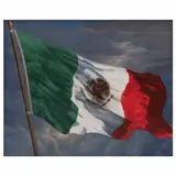 Raymundo Martínez, Bandera