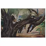 Raúl Anguiano, Árbol viejo