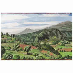Luis Argudín, Sobre Coacoatzintla, 2001, Óleo sobre madera