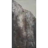 Irma Palacios, Sierra