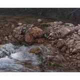 Armando Zesatti, Río, 2010, Acrílico sobre tela