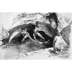 Untitled by Severo Amador, Tinta sobre papel, offered Jun 2022