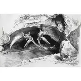 Severo Amador, Untitled, Tinta sobre papel