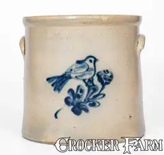 Adam Caire, 3 Gal. ADAM CAIRE / POUGHKEEPSIE, NY Stoneware Bird Crock, circa 1885, Stoneware