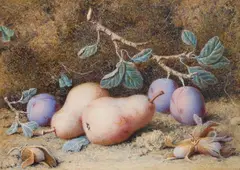 Still Life Of Pears, Plums And Chesnuts by William Hough, Watercolour, sold Nov 2024