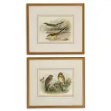 A Pair Of Bird Studies, Yellow Wagtails And Yellow Hammers by Lilian Marguerite Medland, Watercolours, sold Nov 2024